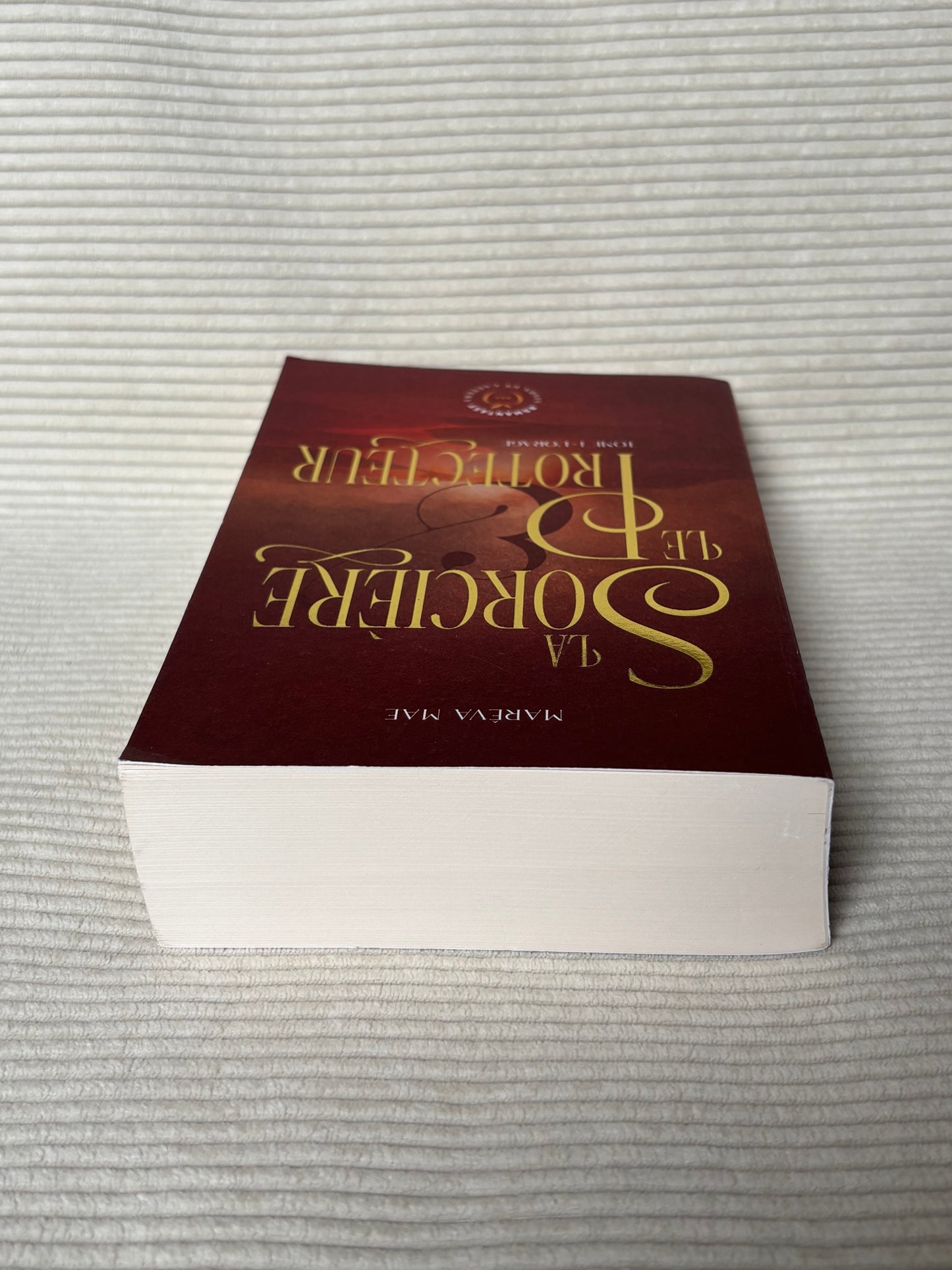 La sorcière et le protecteur (Tome 1) - Maréva Mae