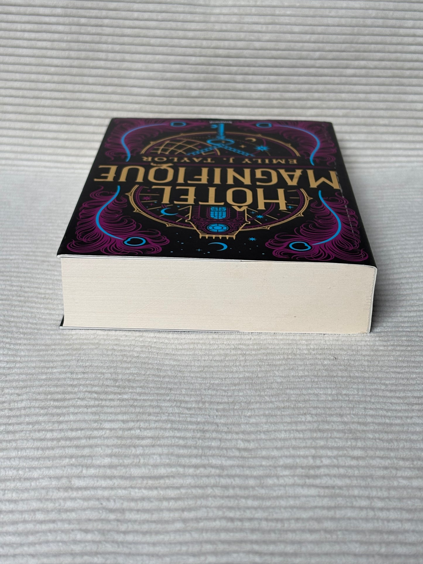 Hôtel magnifique - Emily J. Taylor