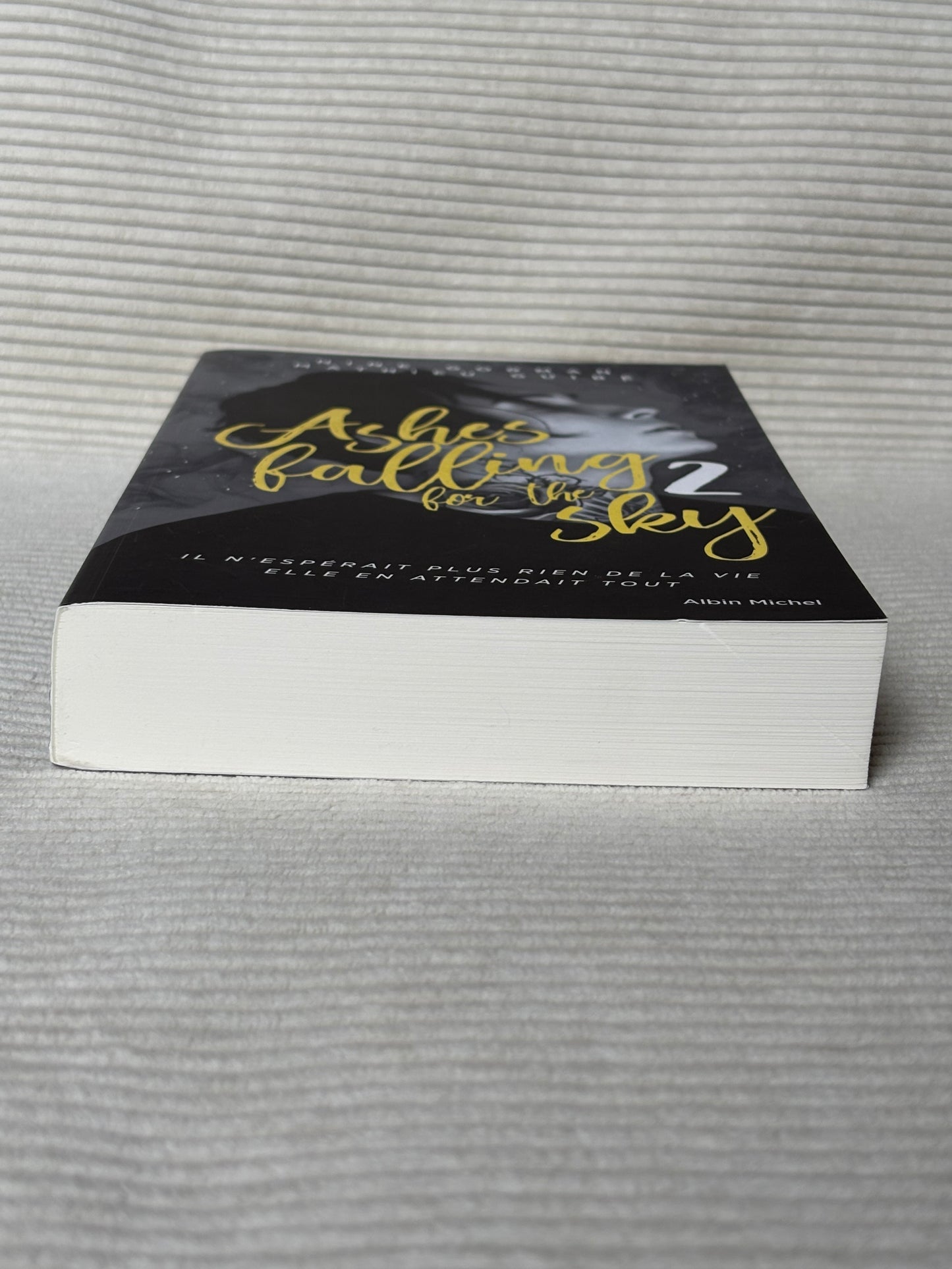 Ashes falling for the Sky 2 - Nine Gorman & Mathieu Guibe