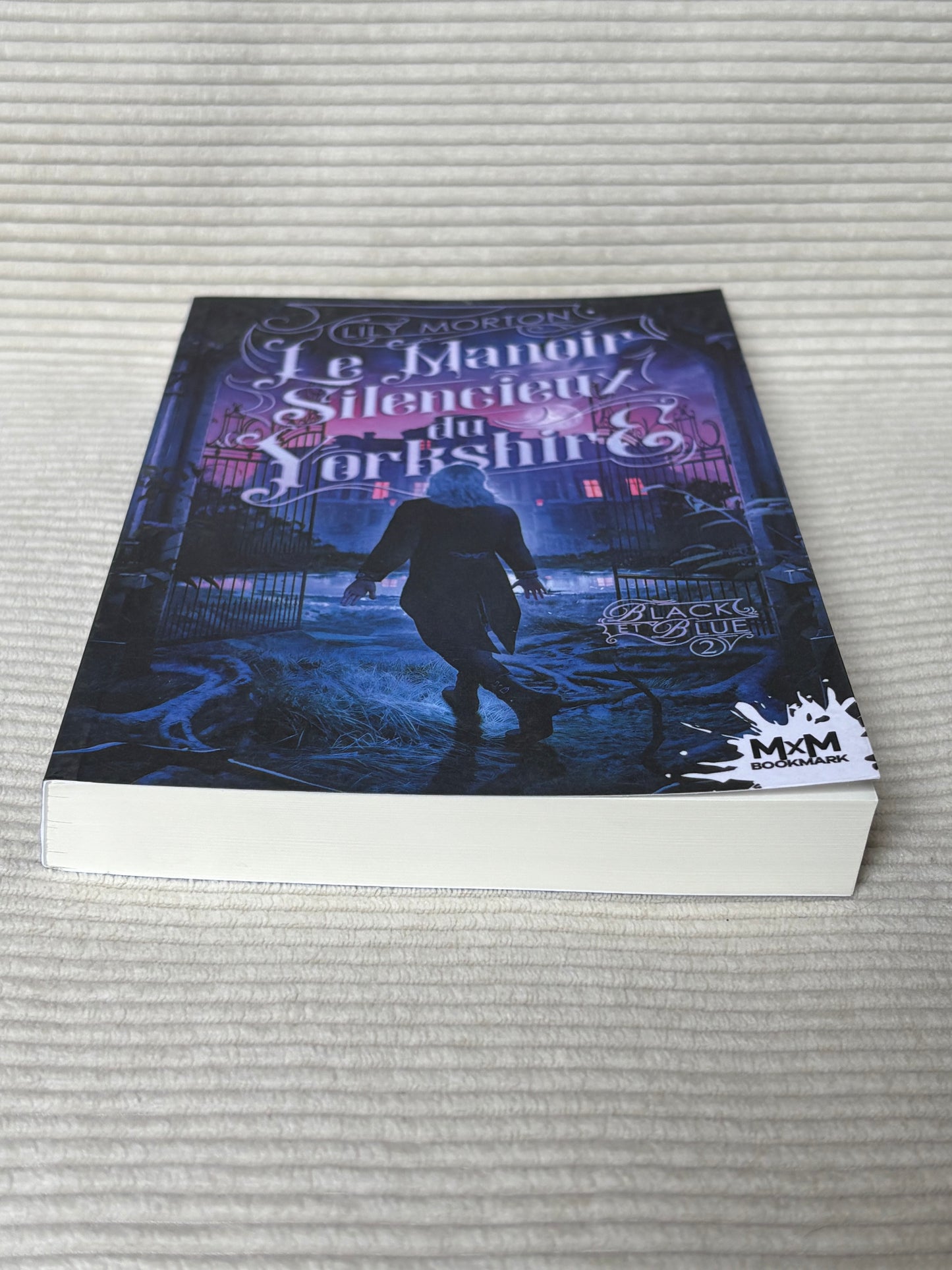 Black and blue (Tome 2) - Lily Morton