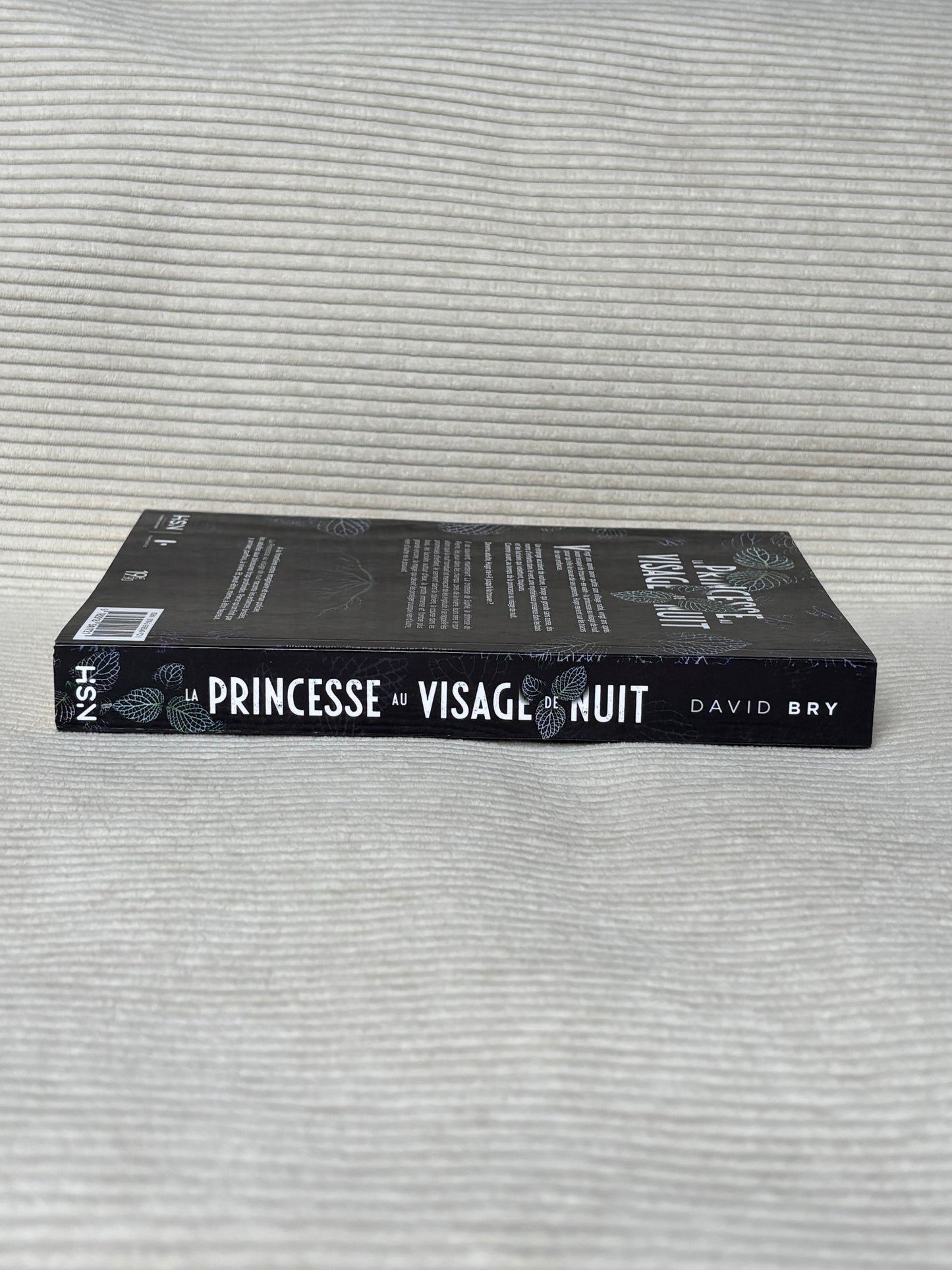 La princesse au visage de nuit - David Bry