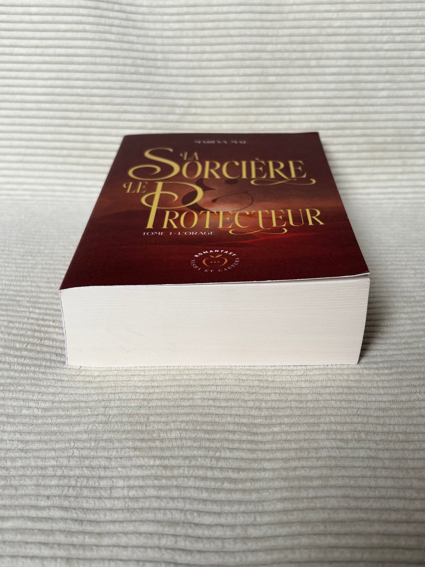 La sorcière et le protecteur (Tome 1) - Maréva Mae
