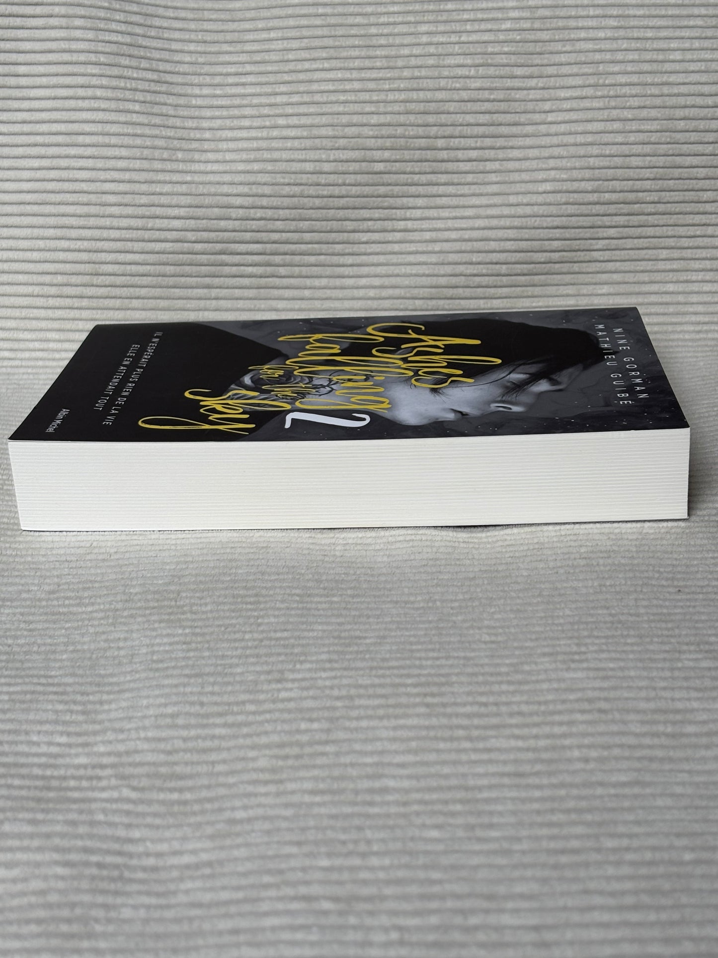 Ashes falling for the Sky 2 - Nine Gorman & Mathieu Guibe