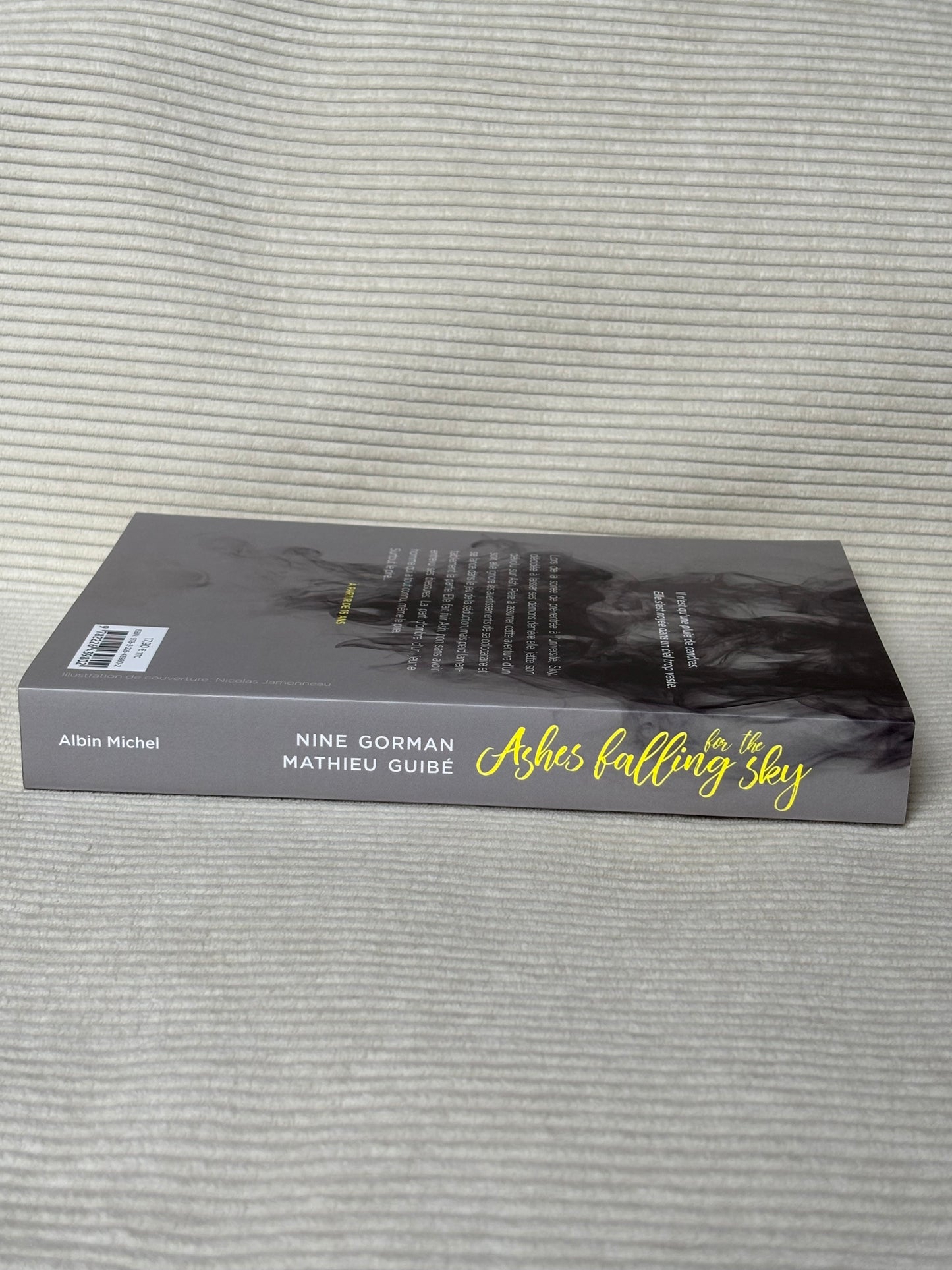 Ashes falling for the sky - Nine Gorman & Mathieu Guibe