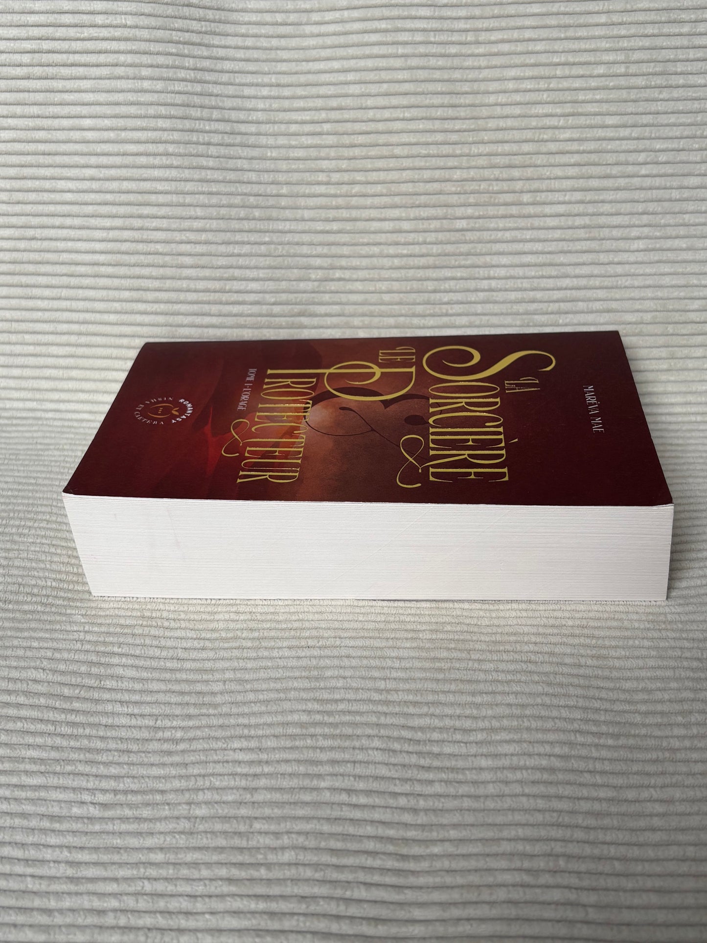 La sorcière et le protecteur (Tome 1) - Maréva Mae