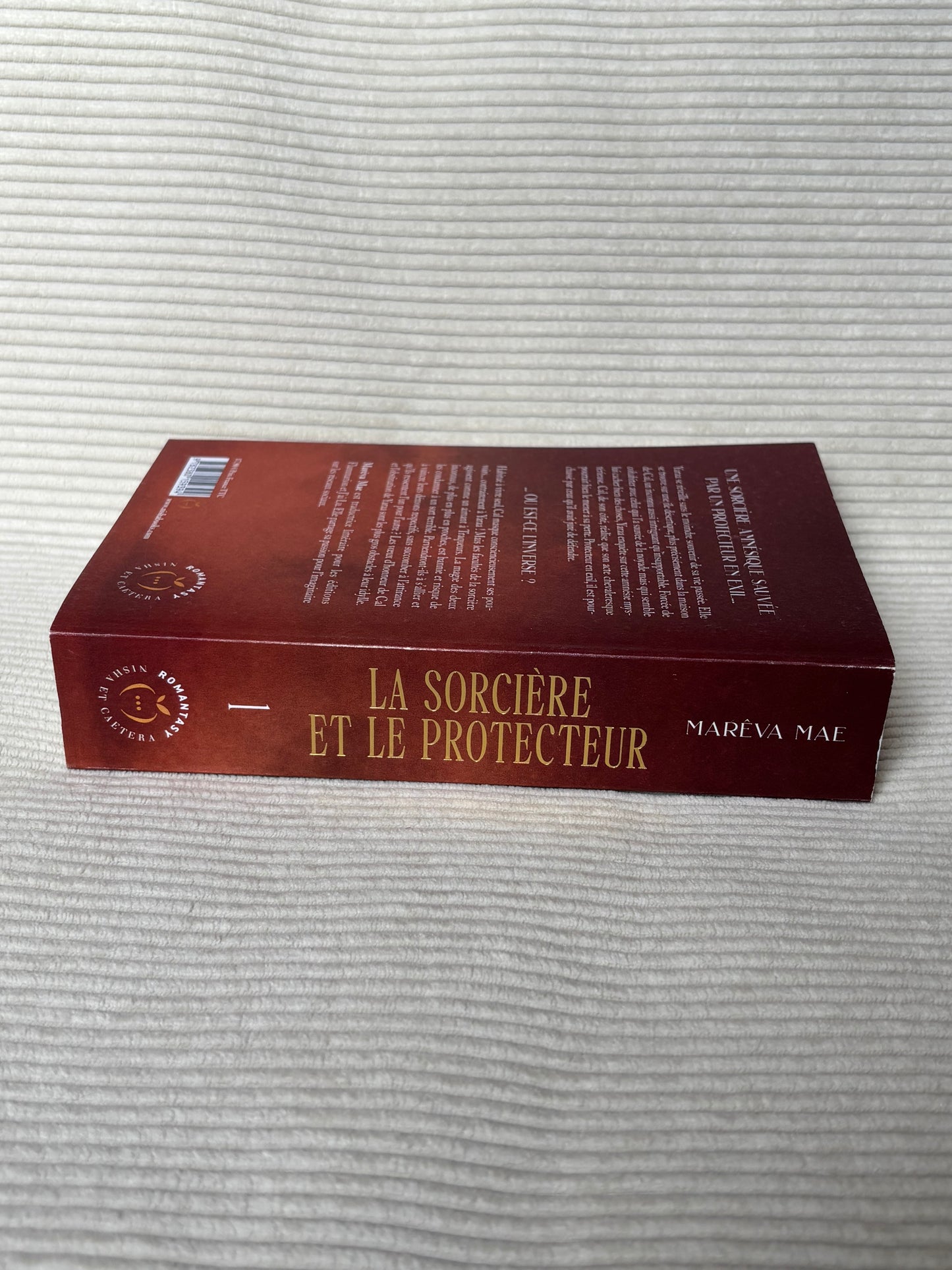 La sorcière et le protecteur (Tome 1) - Maréva Mae