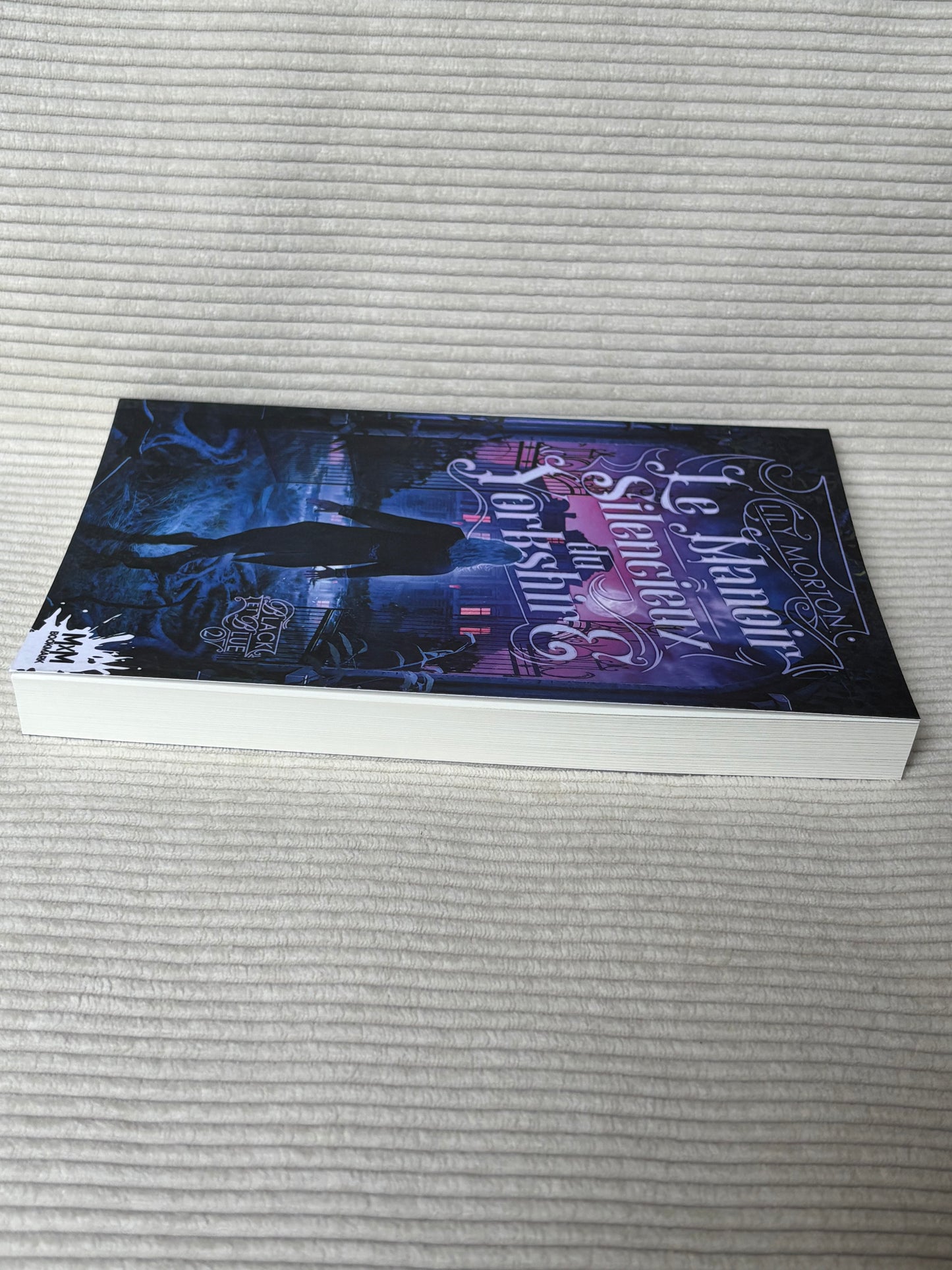 Black and blue (Tome 2) - Lily Morton
