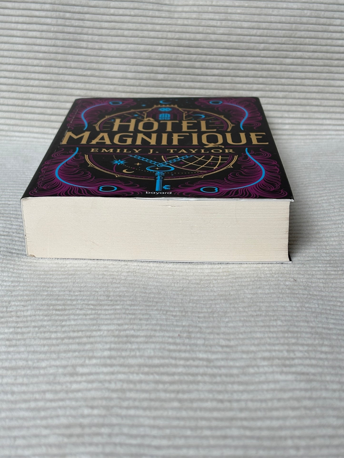 Hôtel magnifique - Emily J. Taylor
