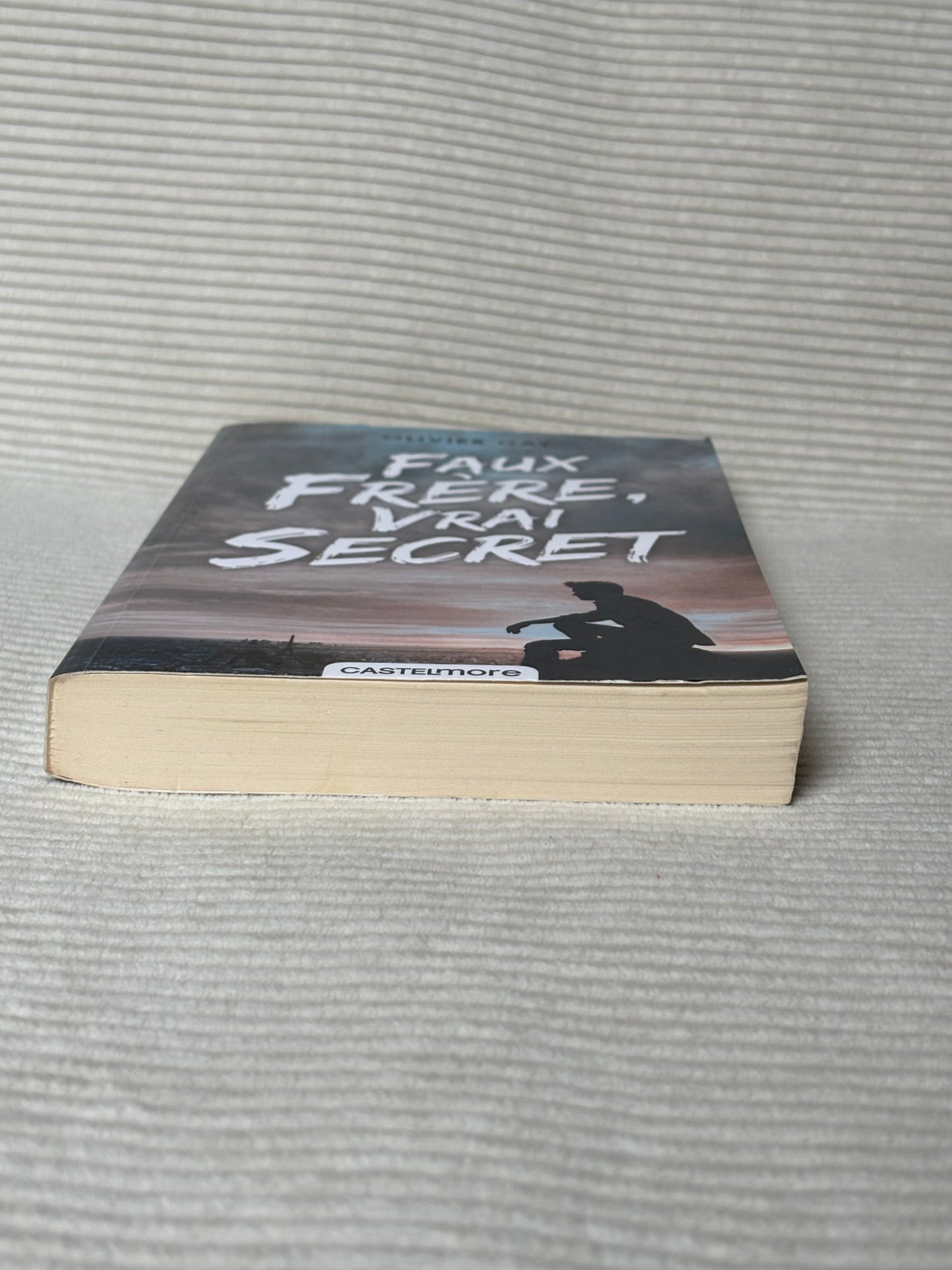 Faux frère, vrai secret - Olivier Gay