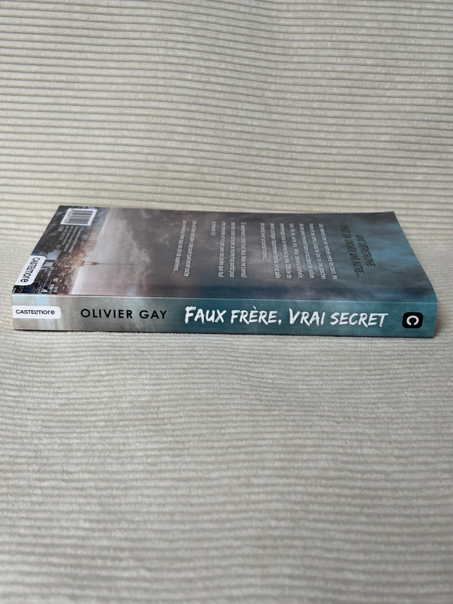 Faux frère, vrai secret - Olivier Gay
