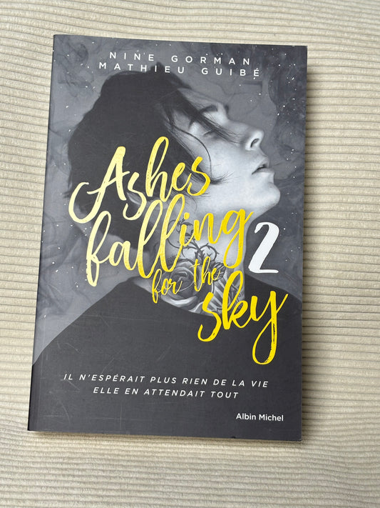 Ashes falling for the Sky 2 - Nine Gorman & Mathieu Guibe