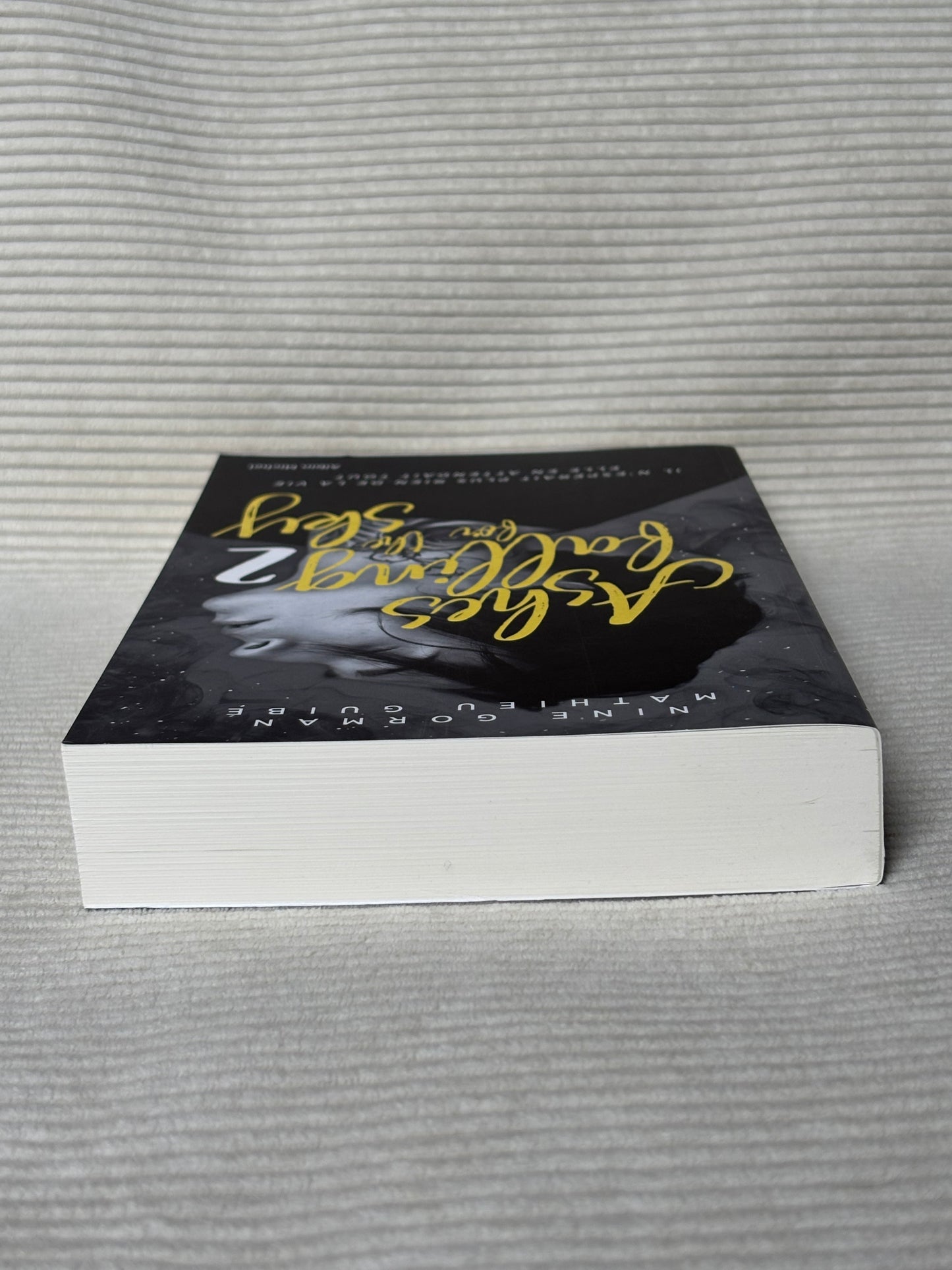 Ashes falling for the Sky 2 - Nine Gorman & Mathieu Guibe
