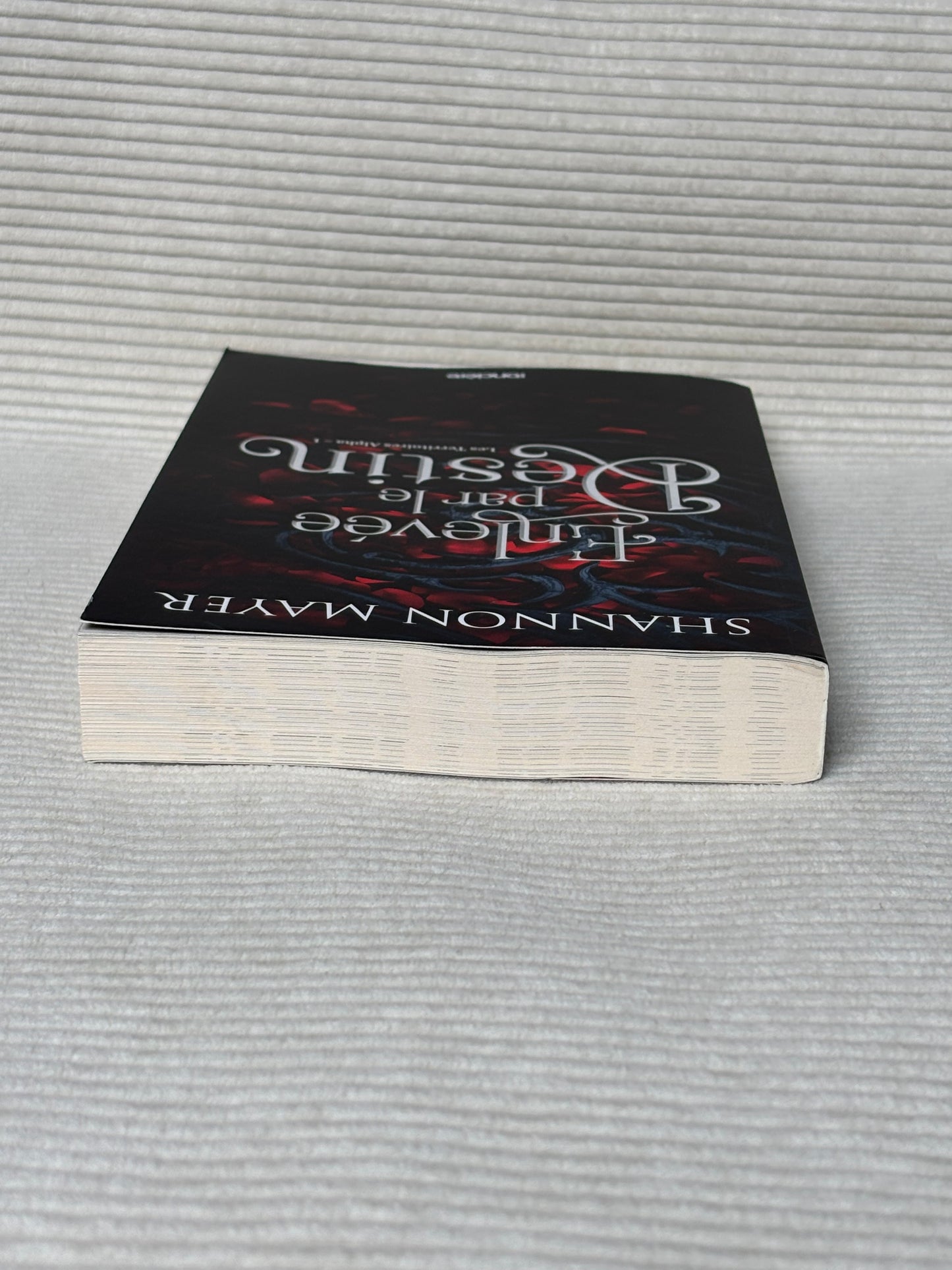 Enlevée par le destin - Shannon Mayer