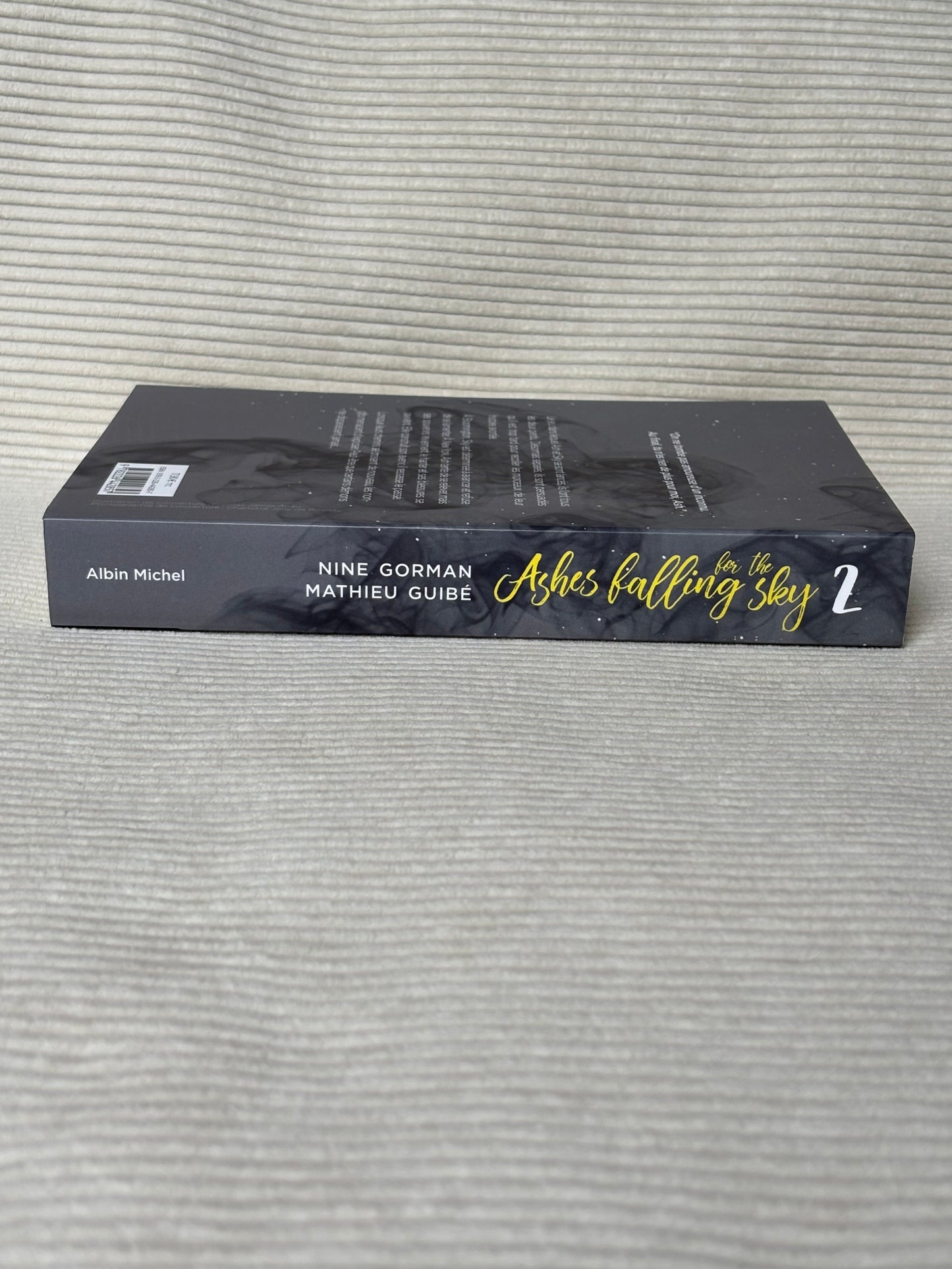 Ashes falling for the Sky 2 - Nine Gorman & Mathieu Guibe