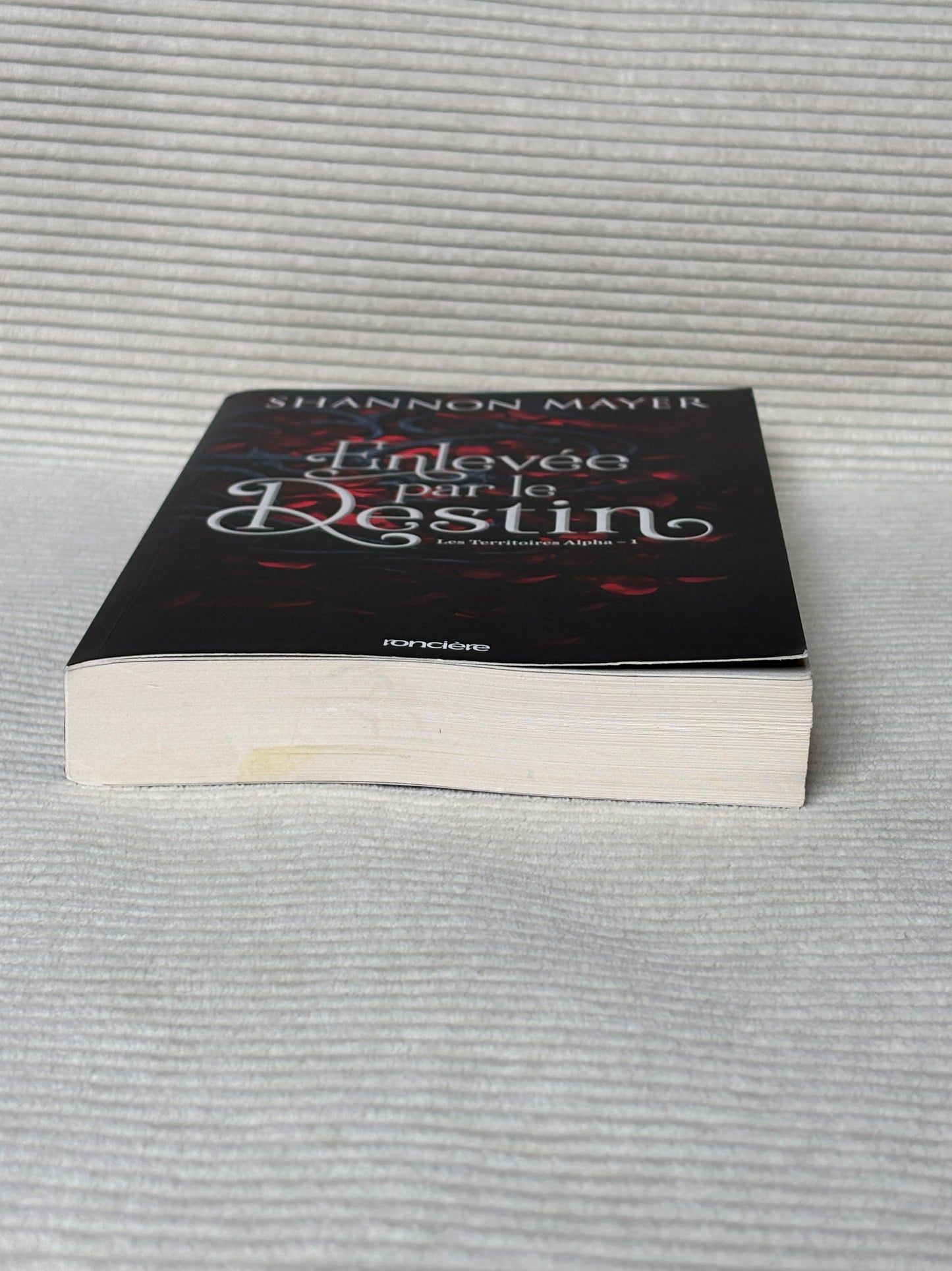Enlevée par le destin - Shannon Mayer