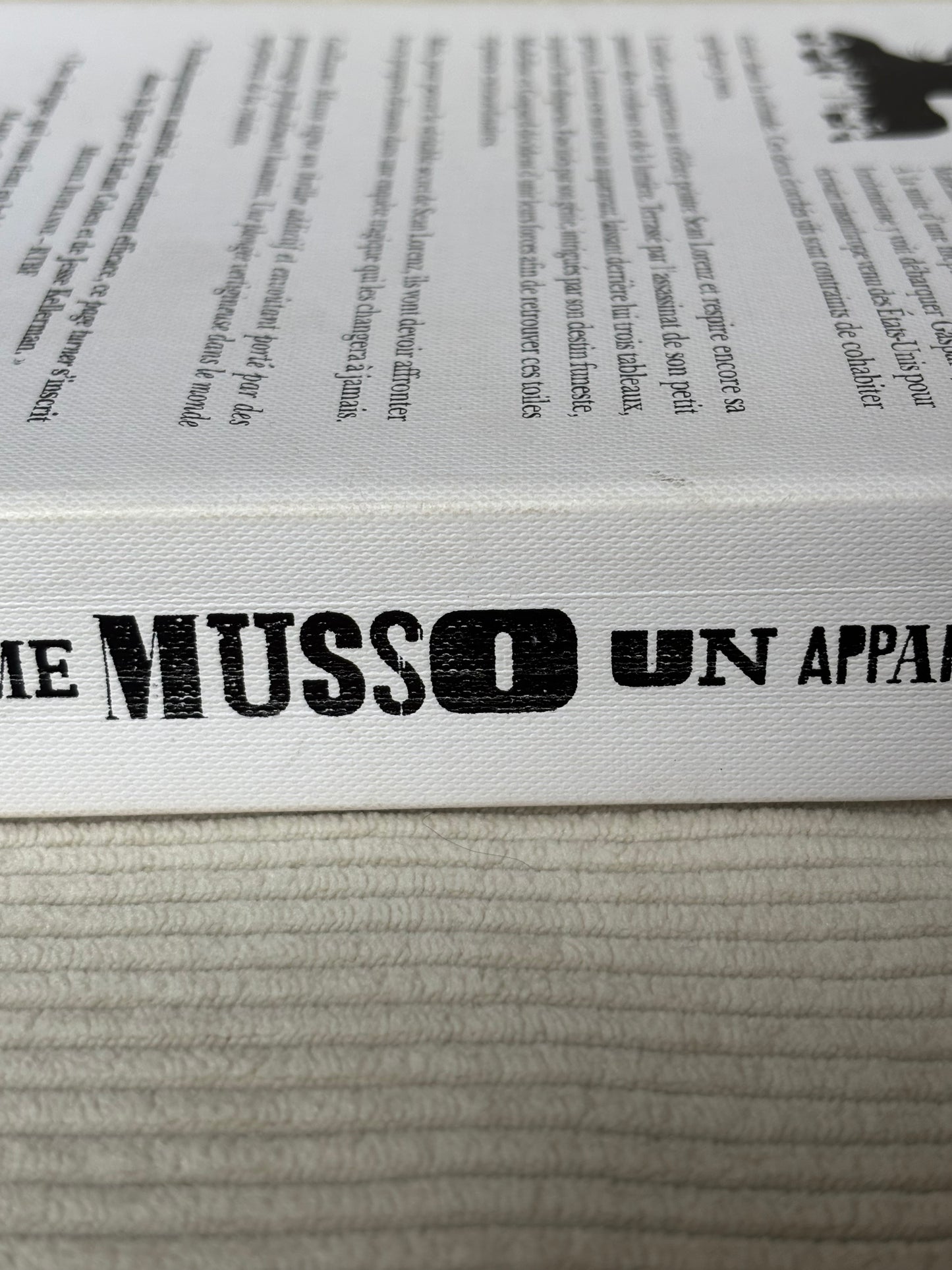 Un appartement à Paris - Guillaume Musso