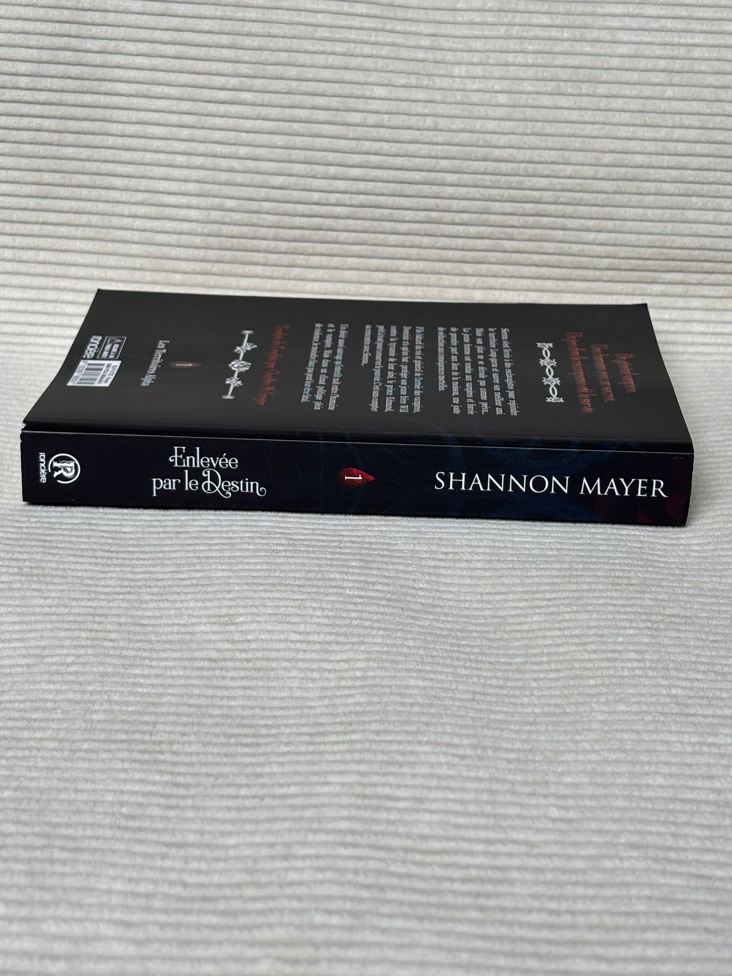 Enlevée par le destin - Shannon Mayer