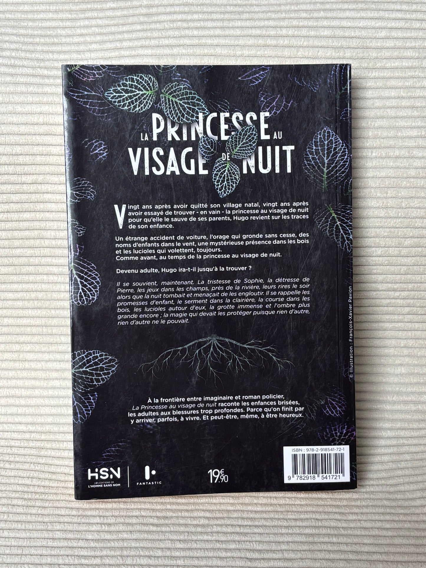 La princesse au visage de nuit - David Bry