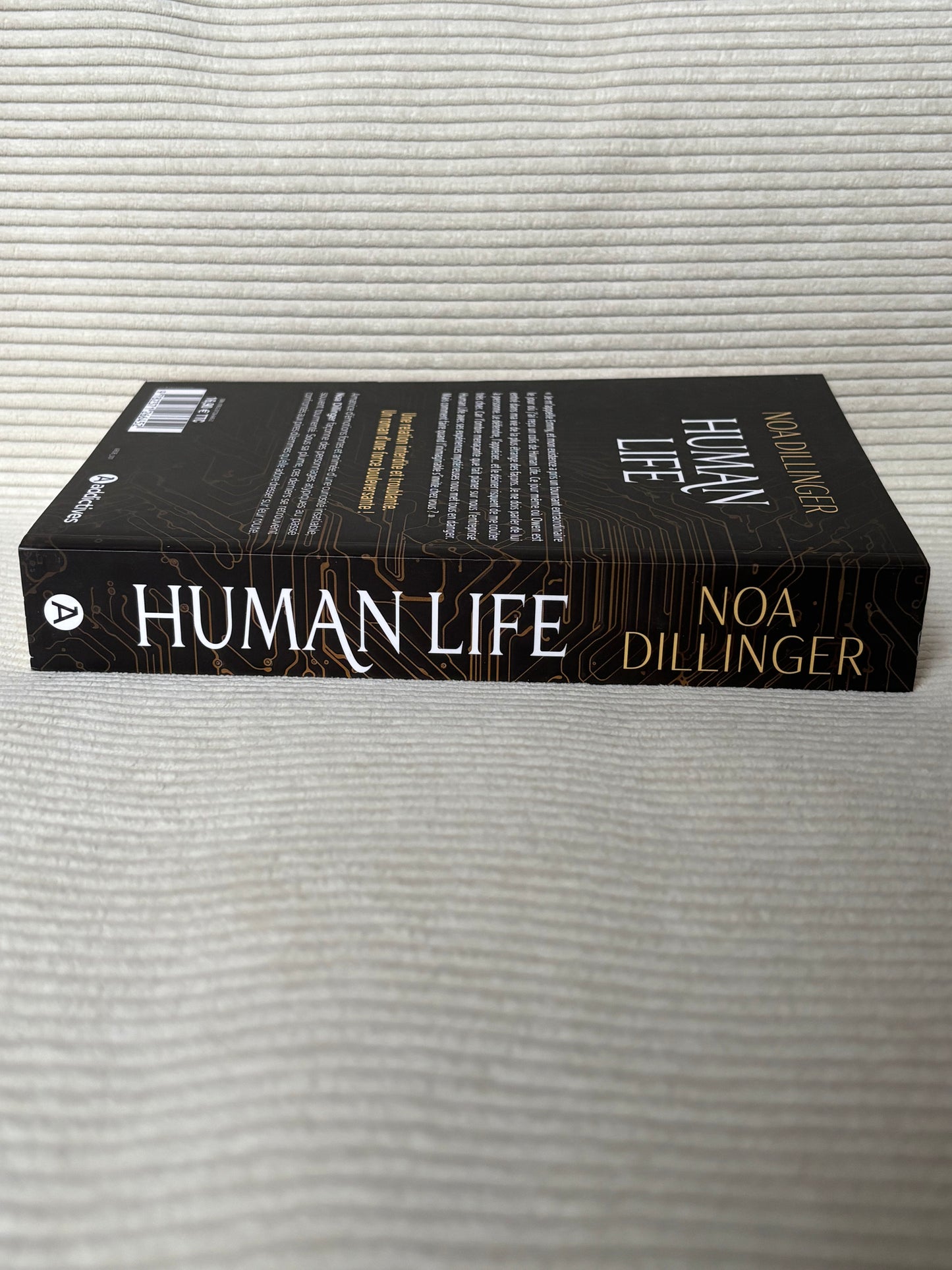 Human Life - Noa Dillinger