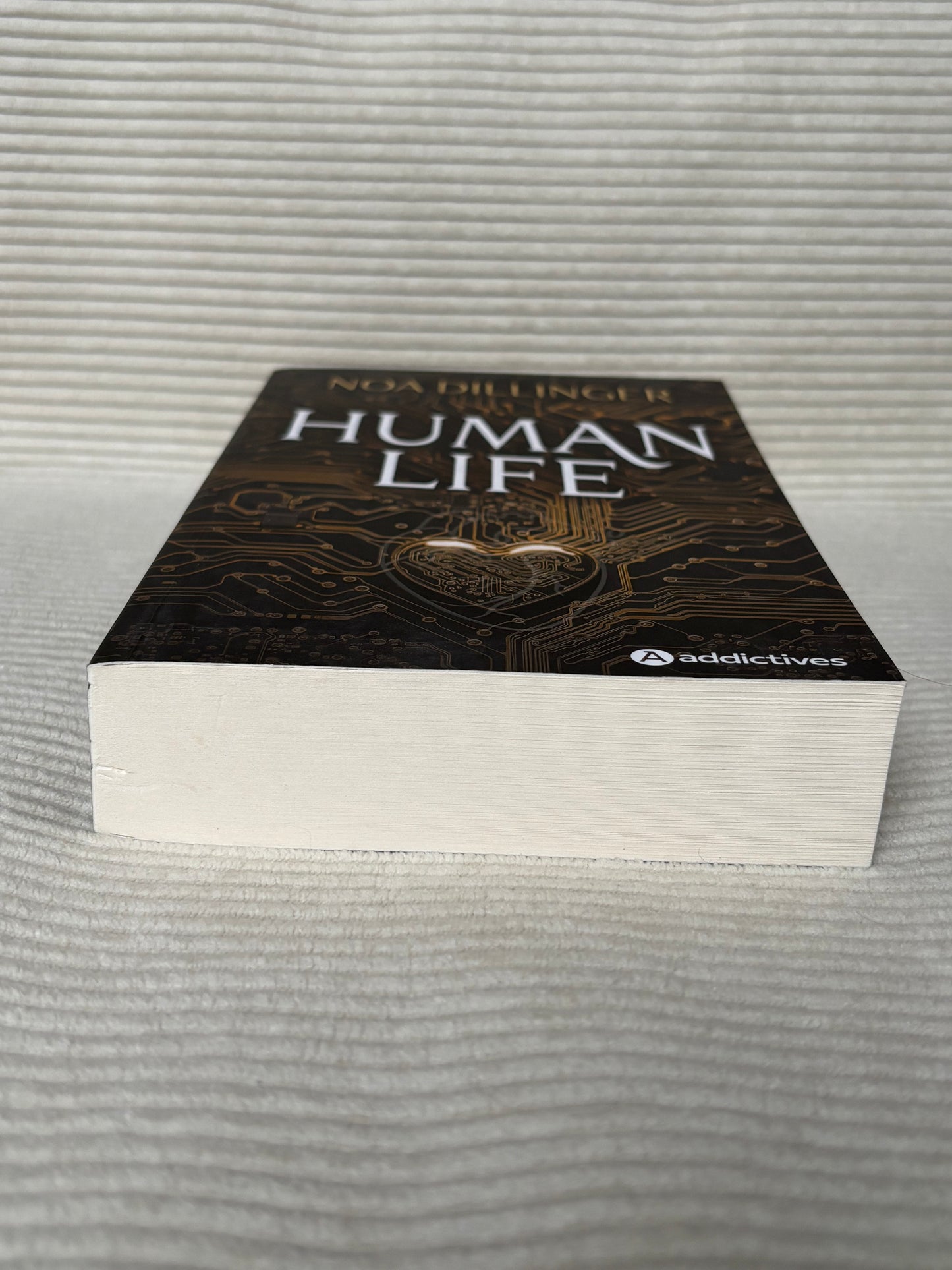 Human Life - Noa Dillinger