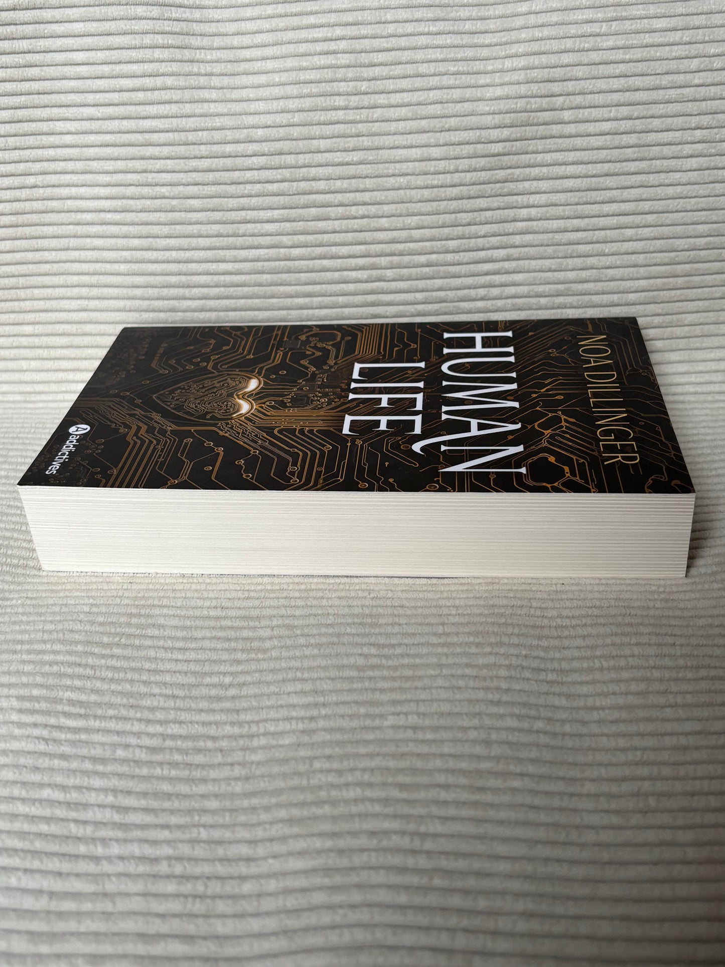 Human Life - Noa Dillinger