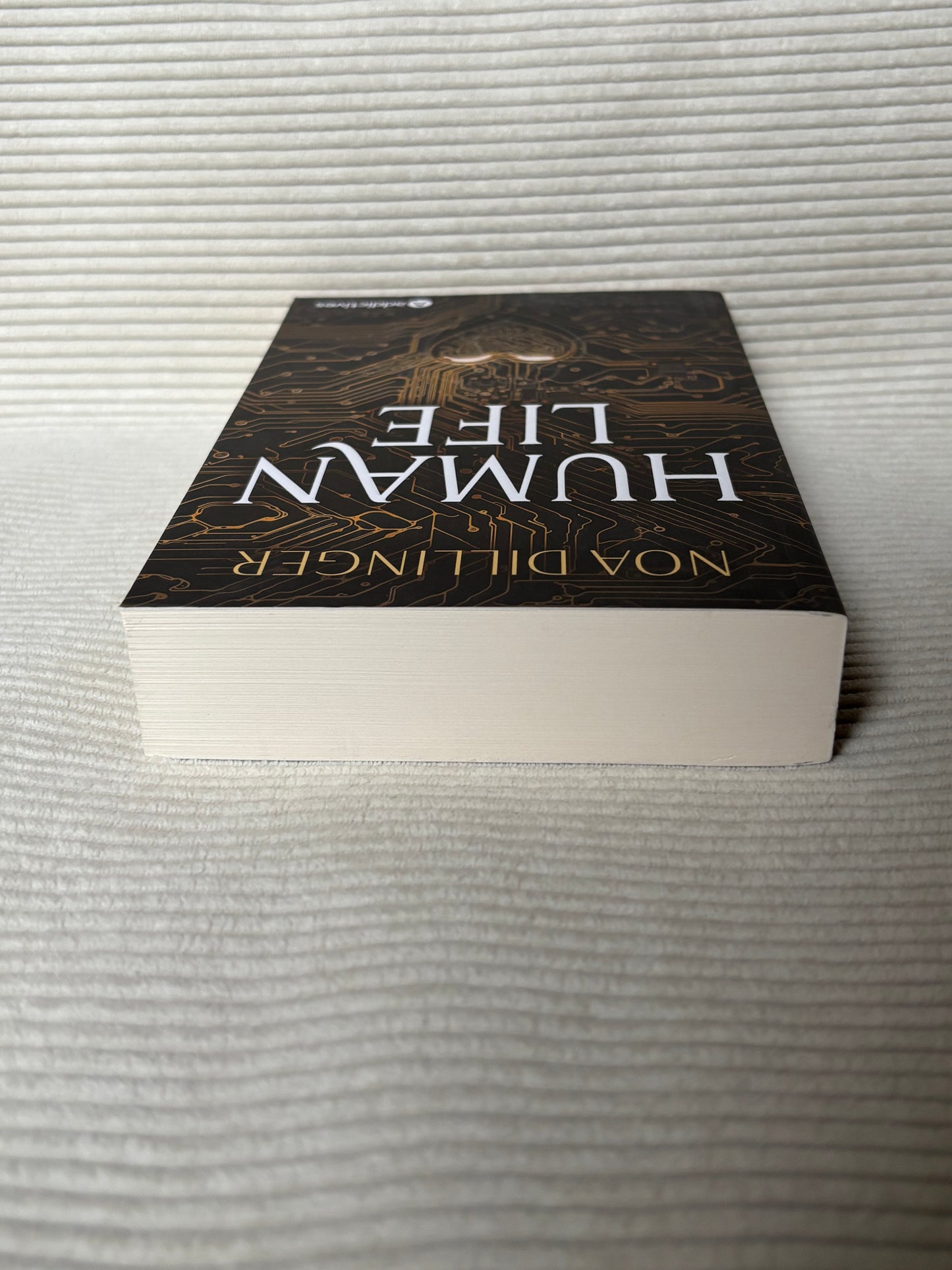 Human Life - Noa Dillinger