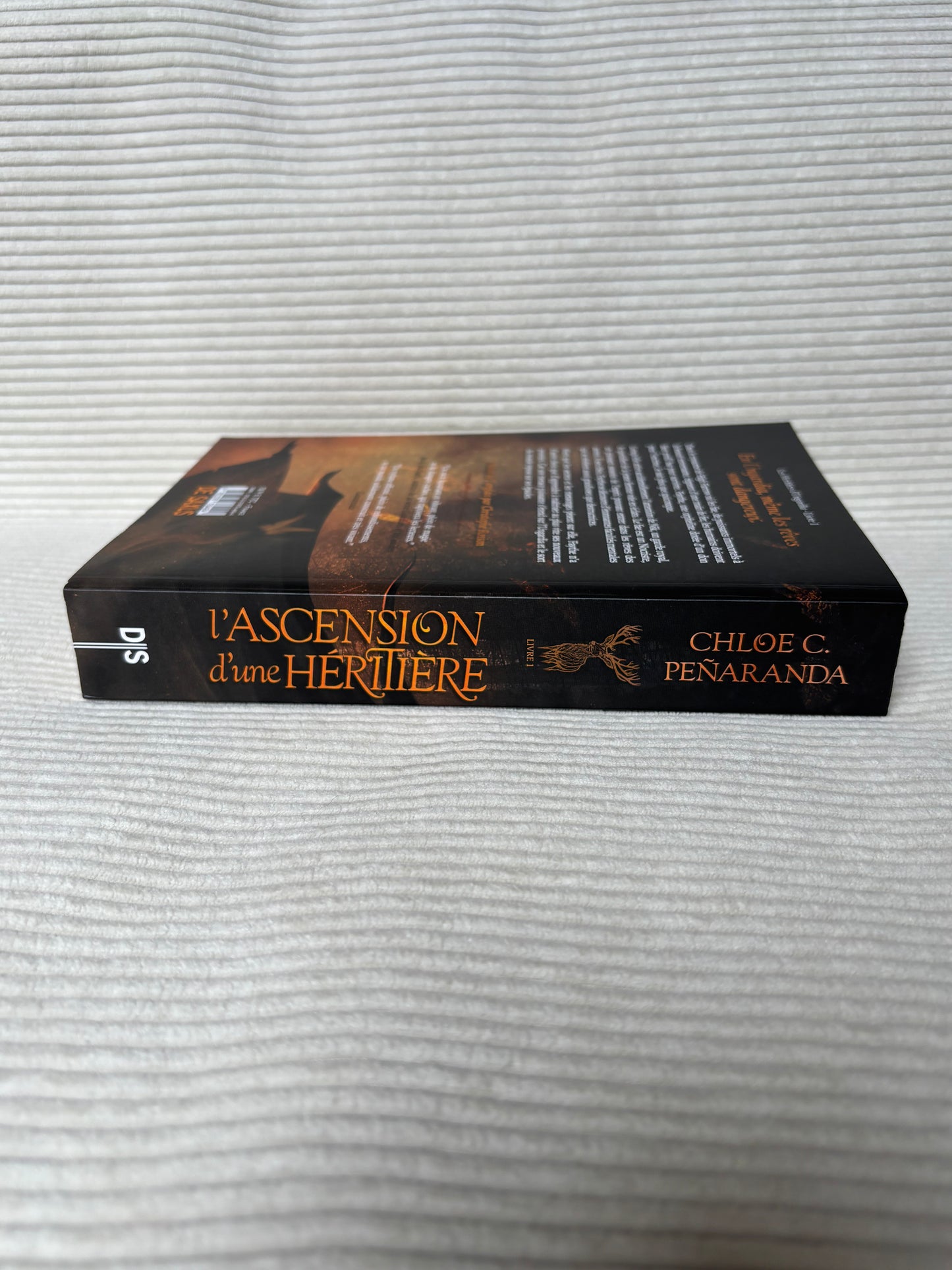 L'ascension d'une héritière - Chloé C.Peñaranda
