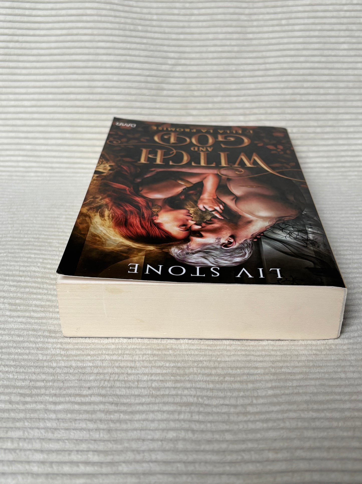 Witch and God (Tome 1) - Live Stone